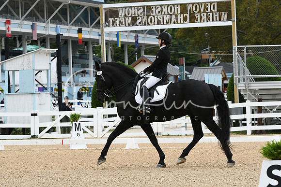 HSM_4105