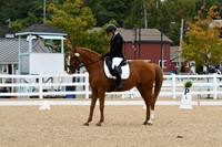 HSM_4117