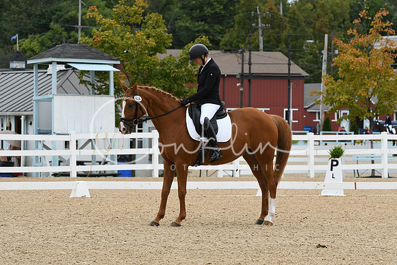 HSM_4117