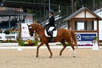 HSM_4119