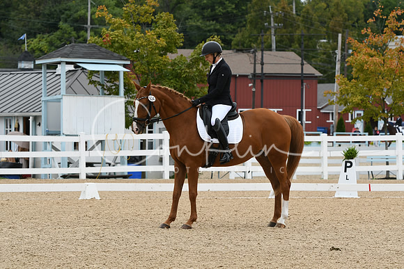 HSM_4118