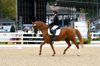 HSM_4120