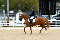 HSM_4121