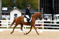 HSM_4132
