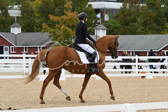 HSM_4136