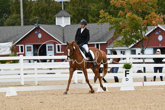 HSM_4138