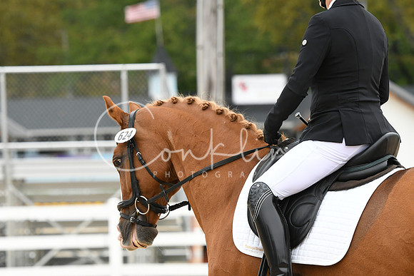 HSM_4146