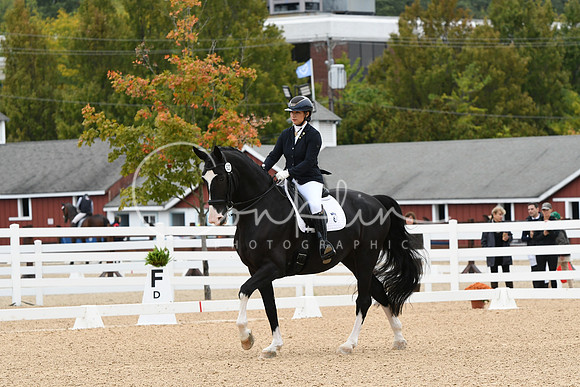 HSM_4181