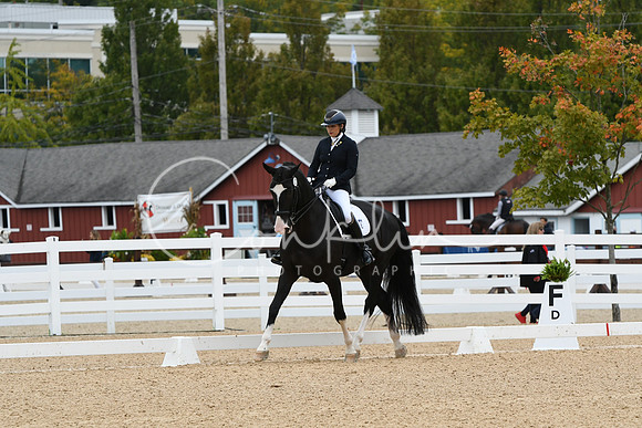 HSM_4211
