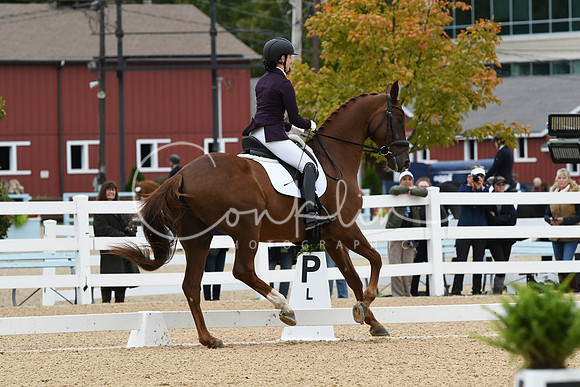 HSM_4027