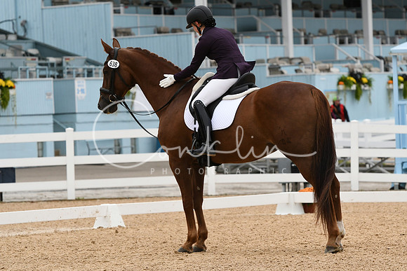 HSM_4039