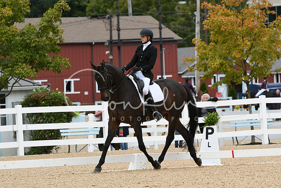 HSM_3956