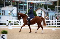 BW189579
