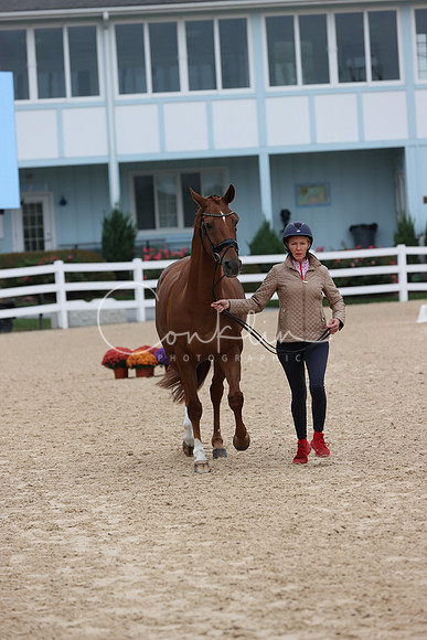 RJC37095