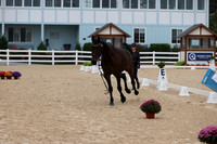 RJC37366