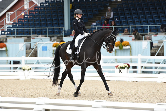 MAK_2124