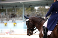 545 - Maximus - 1