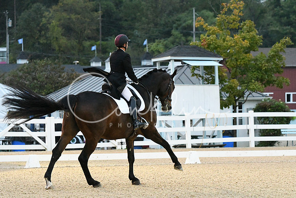 HSM_2304