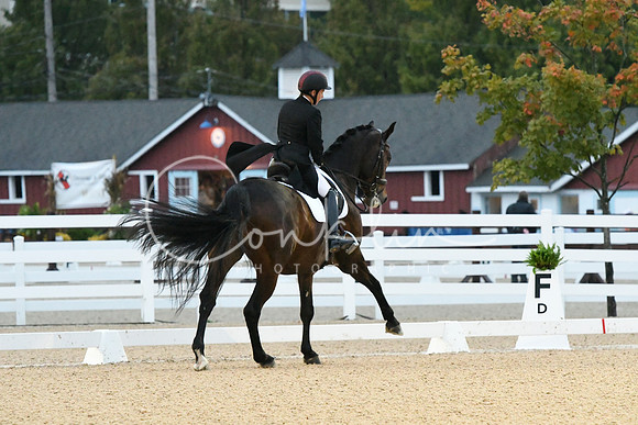 HSM_2305