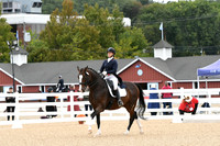 HSM_2539