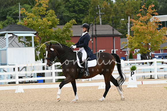 HSM_2541