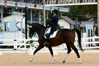 HSM_2546