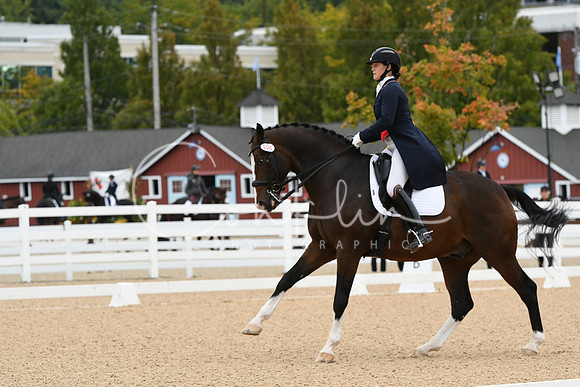 HSM_2593
