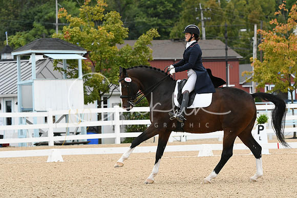 HSM_2594