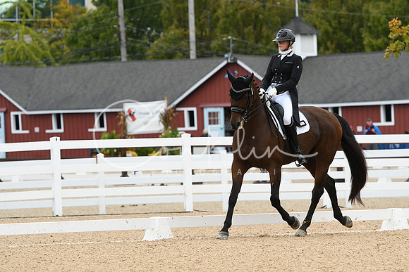 HSM_2627