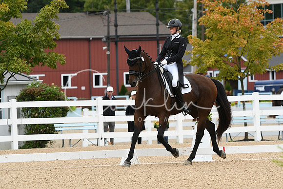 HSM_2629
