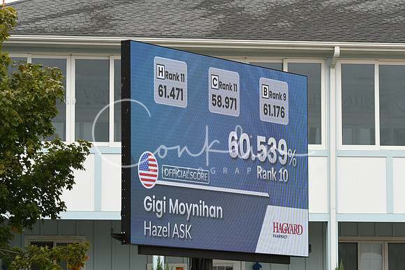 HSM_3382