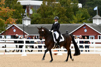 HSM_3303