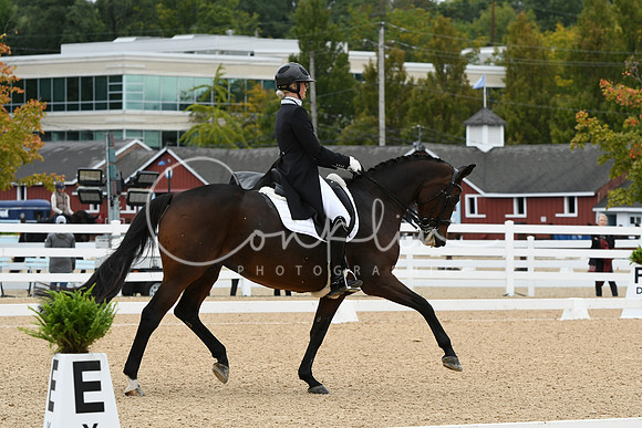 HSM_3317
