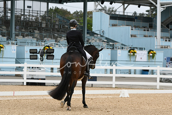 HSM_3342