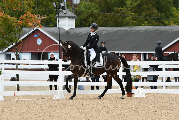 HSM_3343