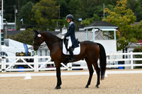 HSM_2881