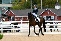 HSM_2894