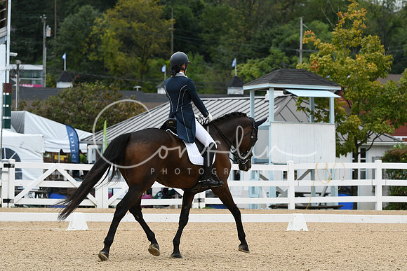 HSM_2908