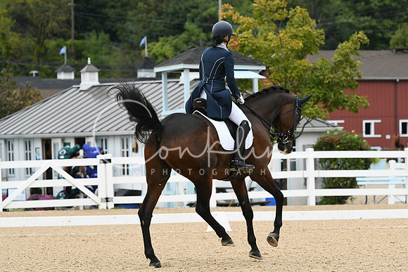 HSM_2938