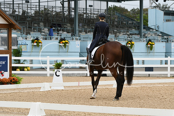 HSM_3419