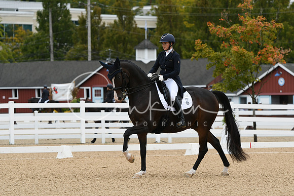 HSM_3151
