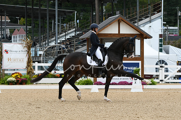HSM_3169