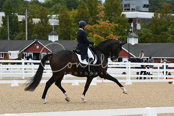 HSM_3174