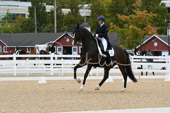 HSM_3225