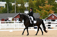 HSM_2703