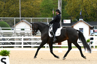 HSM_2710