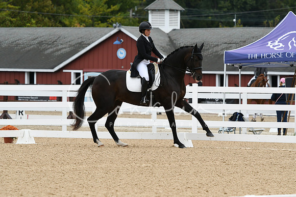 HSM_3523