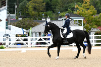 HSM_2961