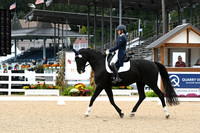 HSM_2964