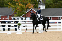 HSM_2976